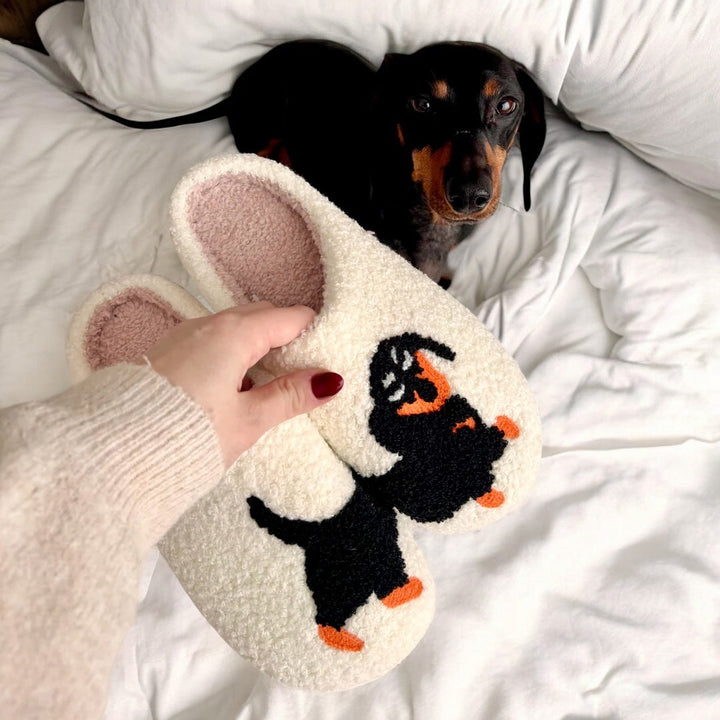 Cream fuzzy slipper with black dog embroidery held near real dachshund | Grace Aura